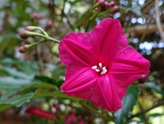 DSC01044a